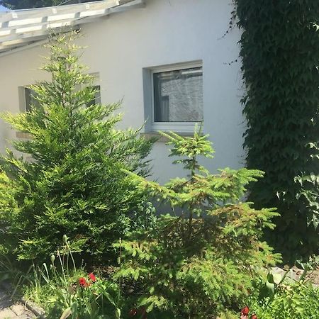 Kleines Haeuschen Am Garten In Darmstadt Eksteriør billede